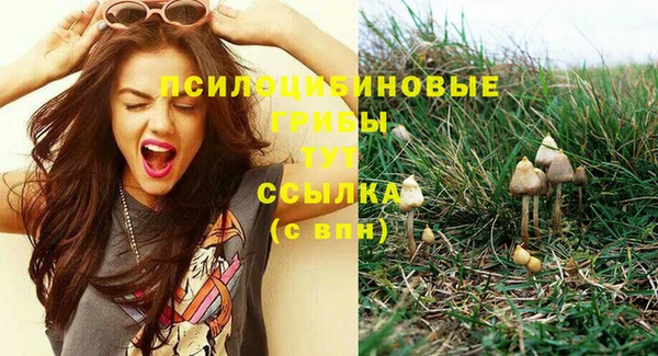 сатива Алексеевка