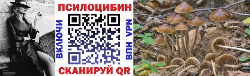 Галлюциногенные грибы Cubensis Лабинск